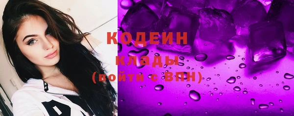 эйфоретик Бородино