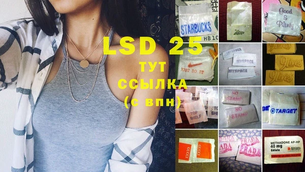 эйфоретик Бородино
