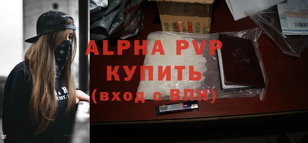 эйфоретик Бородино
