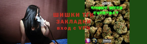 эйфоретик Бородино