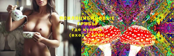 эйфоретик Бородино
