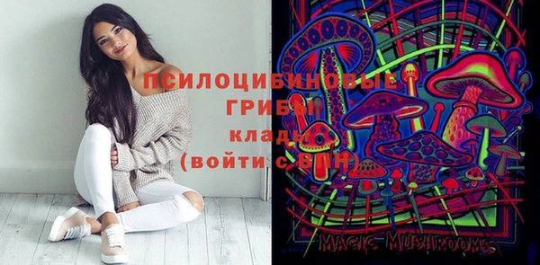 прущий лед Бронницы