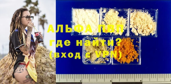 эйфоретик Бородино