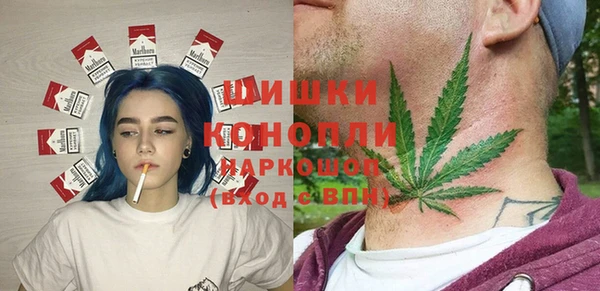 эйфоретик Бородино