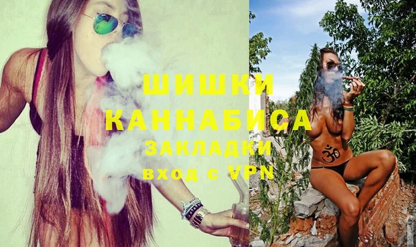 эйфоретик Бородино