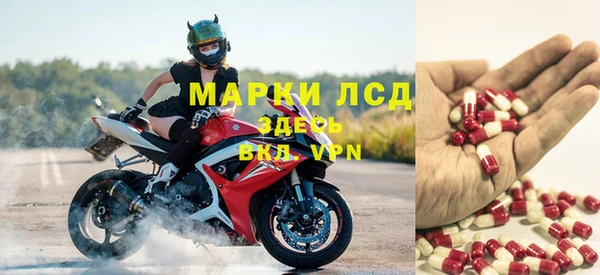 эйфоретик Бородино