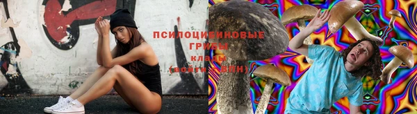 ALPHA PVP Бугульма